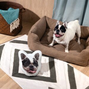 Pet Face Pillows